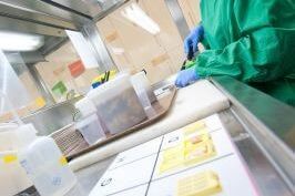 Pathology